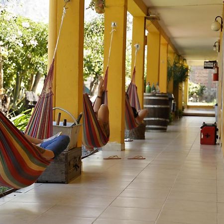 Hostel Lo De Chichi Cafayate Dış mekan fotoğraf