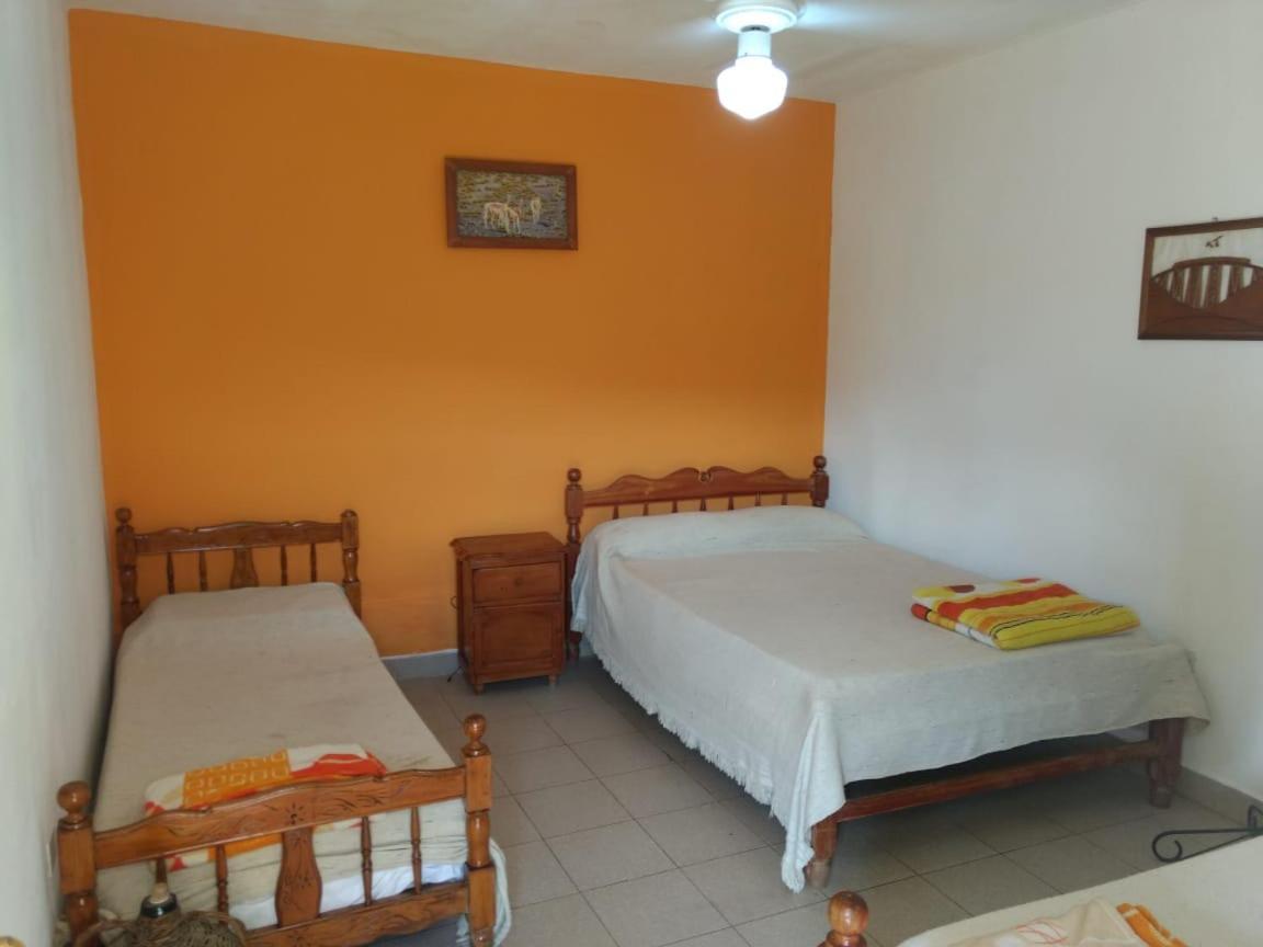 Hostel Lo De Chichi Cafayate Dış mekan fotoğraf