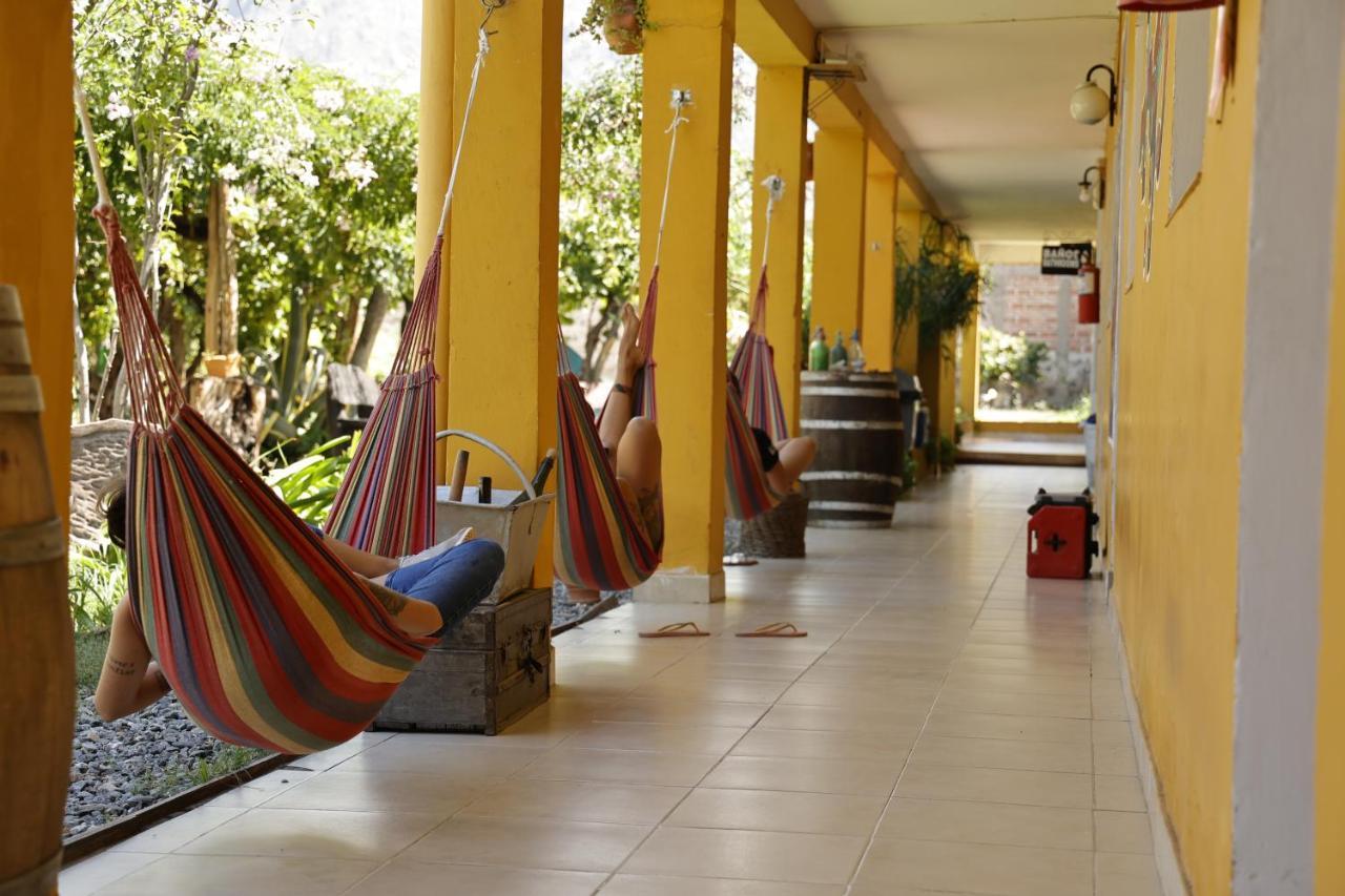 Hostel Lo De Chichi Cafayate Dış mekan fotoğraf