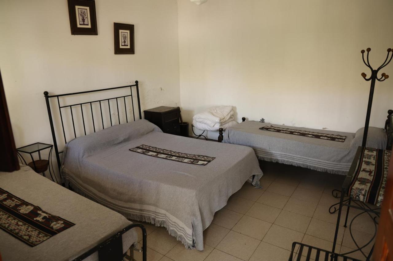 Hostel Lo De Chichi Cafayate Dış mekan fotoğraf